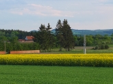 Kopie - DSCF6571